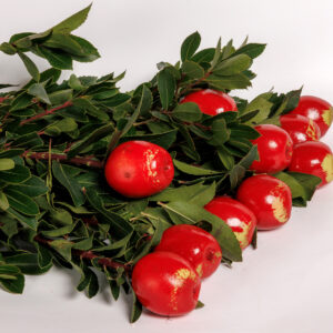 Μπουκέτο με 10 μήλα κόκκινα