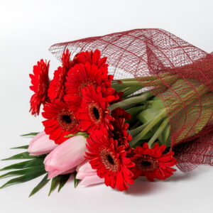 10 Κόκκινες Ζέρμπερες με Τουλίπες