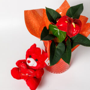 Anthurium in a Glass Vase with Pearls and a Red Teddy Bear - Image 1