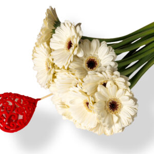 Ανθοδέσμη με 10 Λευκά Ζερμπερίνια και Στικ Καρδιάς