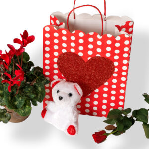 Σακούλα με Καρδιά, Κυκλάμινο, Λούτρινο Λευκό Αρκουδάκι και Κόκκινο Τριαντάφυλλο