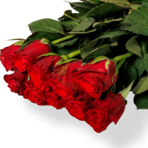 Ανθοδέσμη με 10 Κόκκινα Τριαντάφυλλα