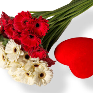 Ανθοδέσμη με 20 Λευκές και Κόκκινες Ζέρμπερες και Στικ Καρδιάς