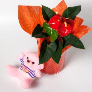 Ανθούριο σε Γυάλινο Βάζο με Πέρλες και Ροζ Αρκουδάκι - Image 1