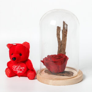 Μεγάλο Forever Rose με Κόκκινο Αρκουδάκι