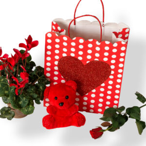 Σακούλα με Καρδιά, Κυκλάμινο, Λούτρινο Κόκκινο Αρκουδάκι και Τριαντάφυλλο